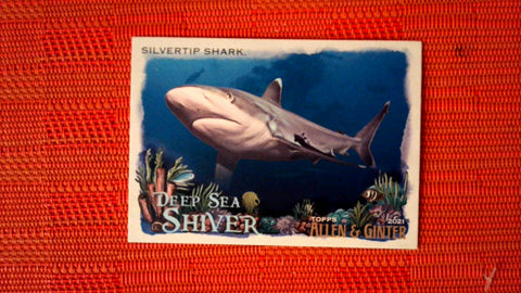 2021 Topps Allen & Ginter: #DSS-15 Silvertip Shark (Deep Sea Shiver Set) Default Title