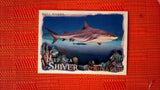 2021 Topps Allen & Ginter: #DSS-2 Bull Shark (Deep Sea Shiver Set) Default Title