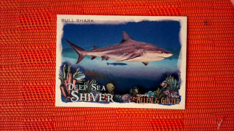 2021 Topps Allen & Ginter: #DSS-2 Bull Shark (Deep Sea Shiver Set) Default Title