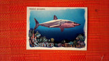 2021 Topps Allen & Ginter: #DSS-3 Mako Shark (Deep Sea Shiver Set) Default Title