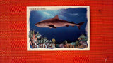 2021 Topps Allen & Ginter: #DSS-4 Tiger Shark (Deep Sea Shiver Set) Default Title