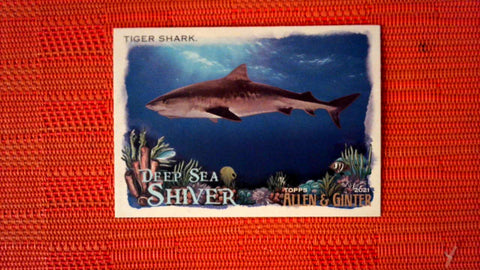 2021 Topps Allen & Ginter: #DSS-4 Tiger Shark (Deep Sea Shiver Set) Default Title