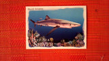2021 Topps Allen & Ginter: #DSS-5 Blue Shark (Deep Sea Shiver Set) Default Title