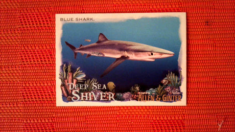 2021 Topps Allen & Ginter: #DSS-5 Blue Shark (Deep Sea Shiver Set) Default Title