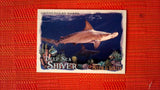 2021 Topps Allen & Ginter: #DSS-6 Hammerhead Shark (Deep Sea Shiver Set) Default Title