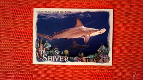 2021 Topps Allen & Ginter: #DSS-6 Hammerhead Shark (Deep Sea Shiver Set) Default Title