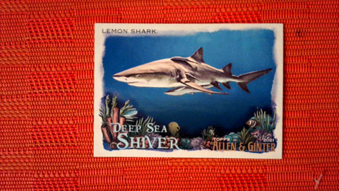 2021 Topps Allen & Ginter: #DSS-7 Lemon Shark (Deep Sea Shiver Set) Default Title