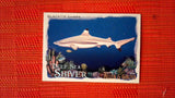 2021 Topps Allen & Ginter: #DSS-8 Blacktip Shark (Deep Sea Shiver Set) Default Title