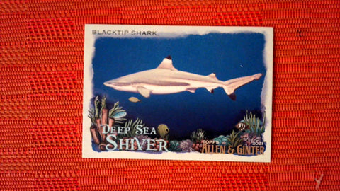 2021 Topps Allen & Ginter: #DSS-8 Blacktip Shark (Deep Sea Shiver Set) Default Title