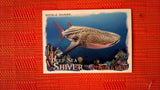 2021 Topps Allen & Ginter: #DSS-9 Whale Shark (Deep Sea Shiver Set) Default Title