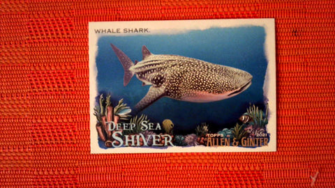 2021 Topps Allen & Ginter: #DSS-9 Whale Shark (Deep Sea Shiver Set) Default Title