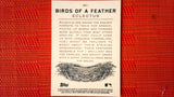2021 Topps Allen & Ginter: #BOF-1 Eclectus (Birds of a Feather Set) Default Title