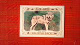 2021 Topps Allen & Ginter: #RB-1 Gray Wolf (Rallying Back Set) Default Title