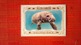 2021 Topps Allen & Ginter: #RB-10 West Indian Manatee (Rallying Back Set) Default Title