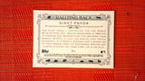 2021 Topps Allen & Ginter: #RB-2 Giant Panda (Rallying Back Set) Default Title