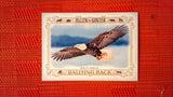 2021 Topps Allen & Ginter: #RB-3 Bald Eagle (Rallying Back Set) Default Title