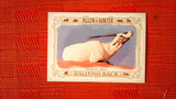 2021 Topps Allen & Ginter: #RB-4 Arabian Oryx (Rallying Back Set) Default Title