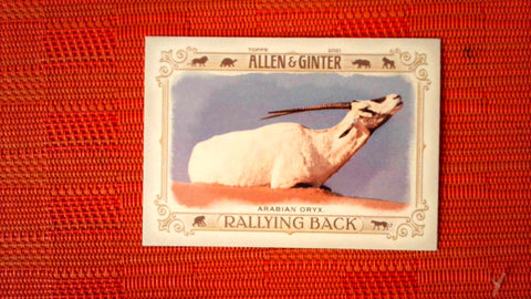 2021 Topps Allen & Ginter: #RB-4 Arabian Oryx (Rallying Back Set) Default Title