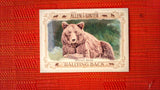 2021 Topps Allen & Ginter: #RB-9 Brown Bear (Rallying Back Set) Default Title