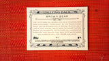 2021 Topps Allen & Ginter: #RB-9 Brown Bear (Rallying Back Set) Default Title