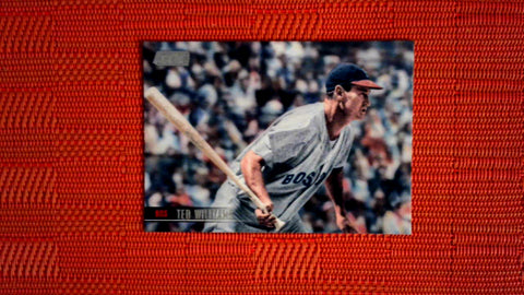 2021 Topps Stadium Club: #195 Ted Williams - Boston Red Sox Default Title