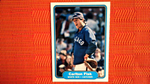 1982 Fleer Carlton Fisk #343 White Sox (See Scans)