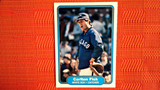 1982 Fleer Carlton Fisk #343 White Sox (See Scans)