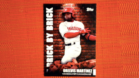 2022 Topps Pro Debut Brick by Brick Set #BB-14 Orelvis Martinez Default Title