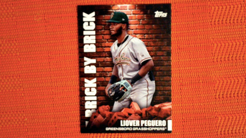 2022 Topps Pro Debut Brick by Brick Set #BB-19 Liover Peguero Default Title